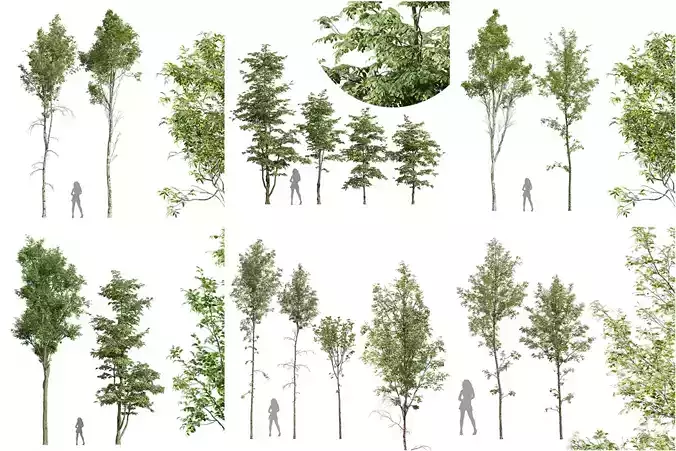 6 Different SETS of Tree SET VOL110 3D Model Collection