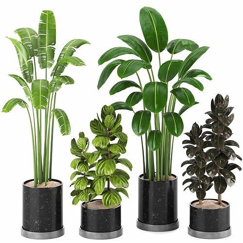 Indoor Plants in Ferm Living Bau Pot Large - Set017 3D model