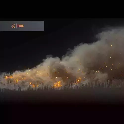 Big Wildifre Animation 250 Frames