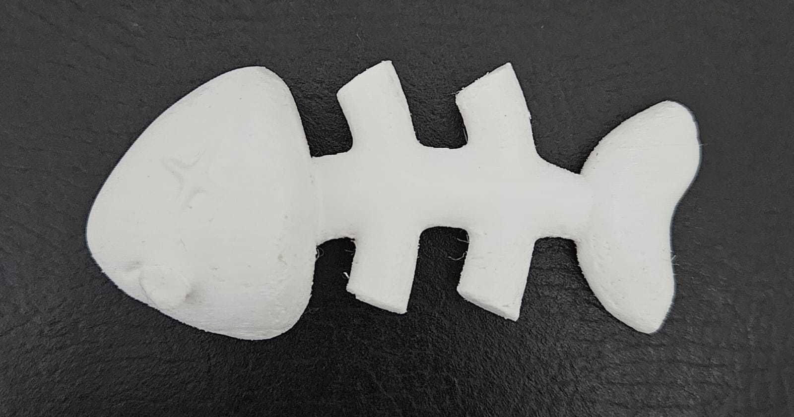 Fishbone 3D print model_4