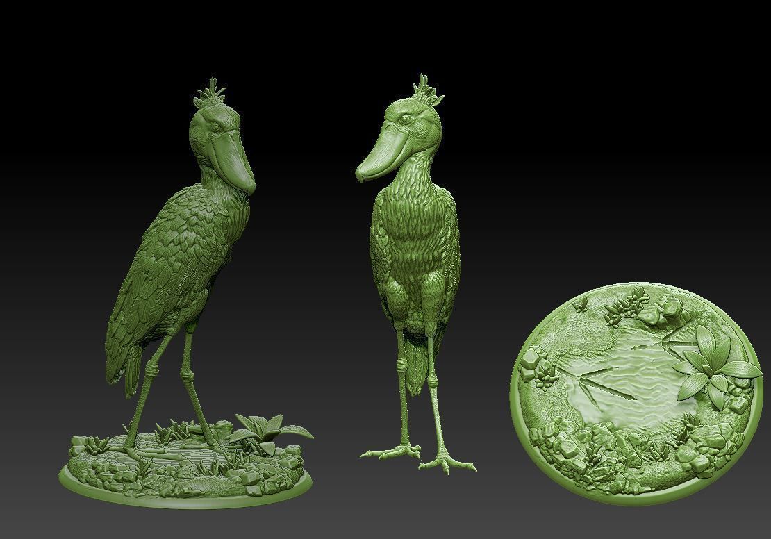 Shoebill  Balaeniceps rex 3D print model_6