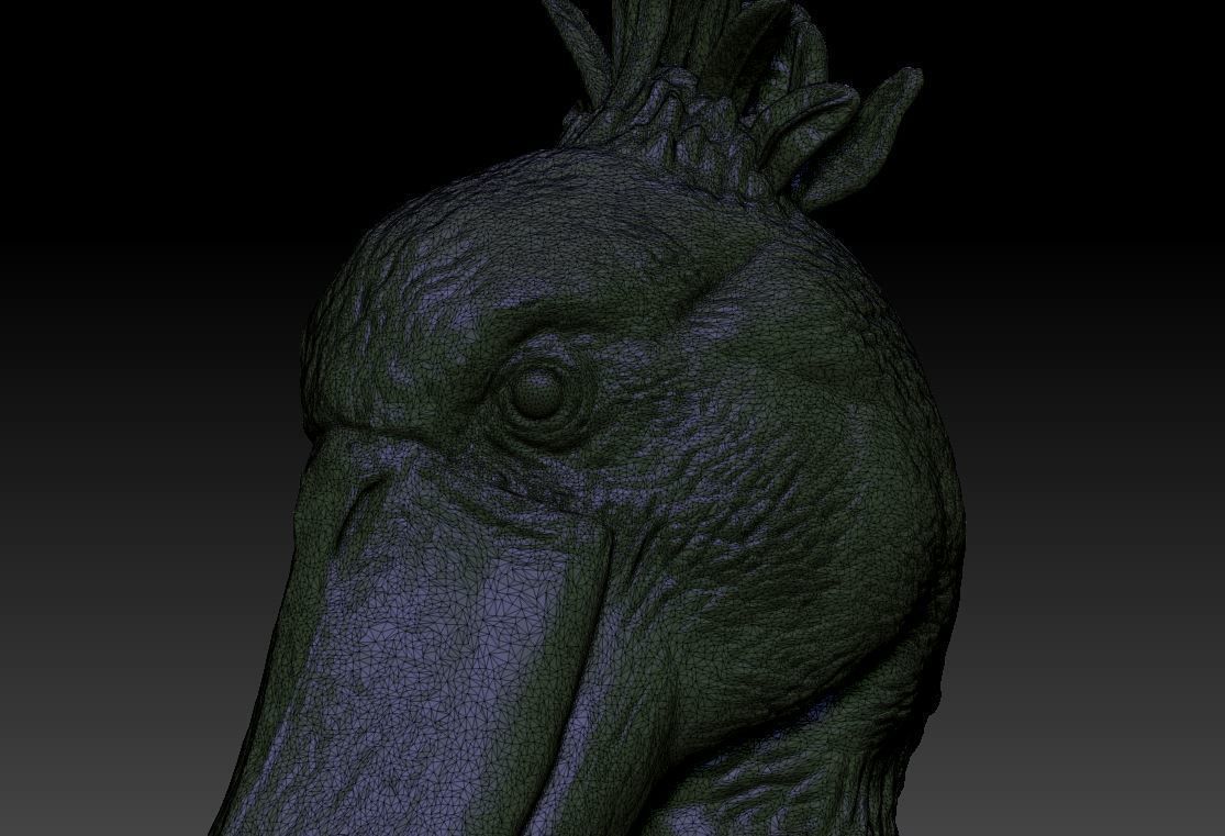 Shoebill  Balaeniceps rex 3D print model_5