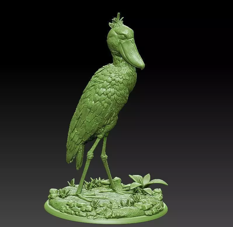 Shoebill  Balaeniceps rex 3D print model_0