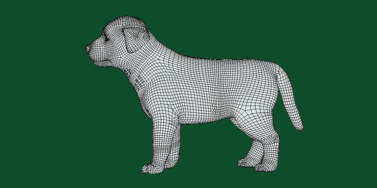 Belgian Shepherd Puppy Dog Breed 3D model_7