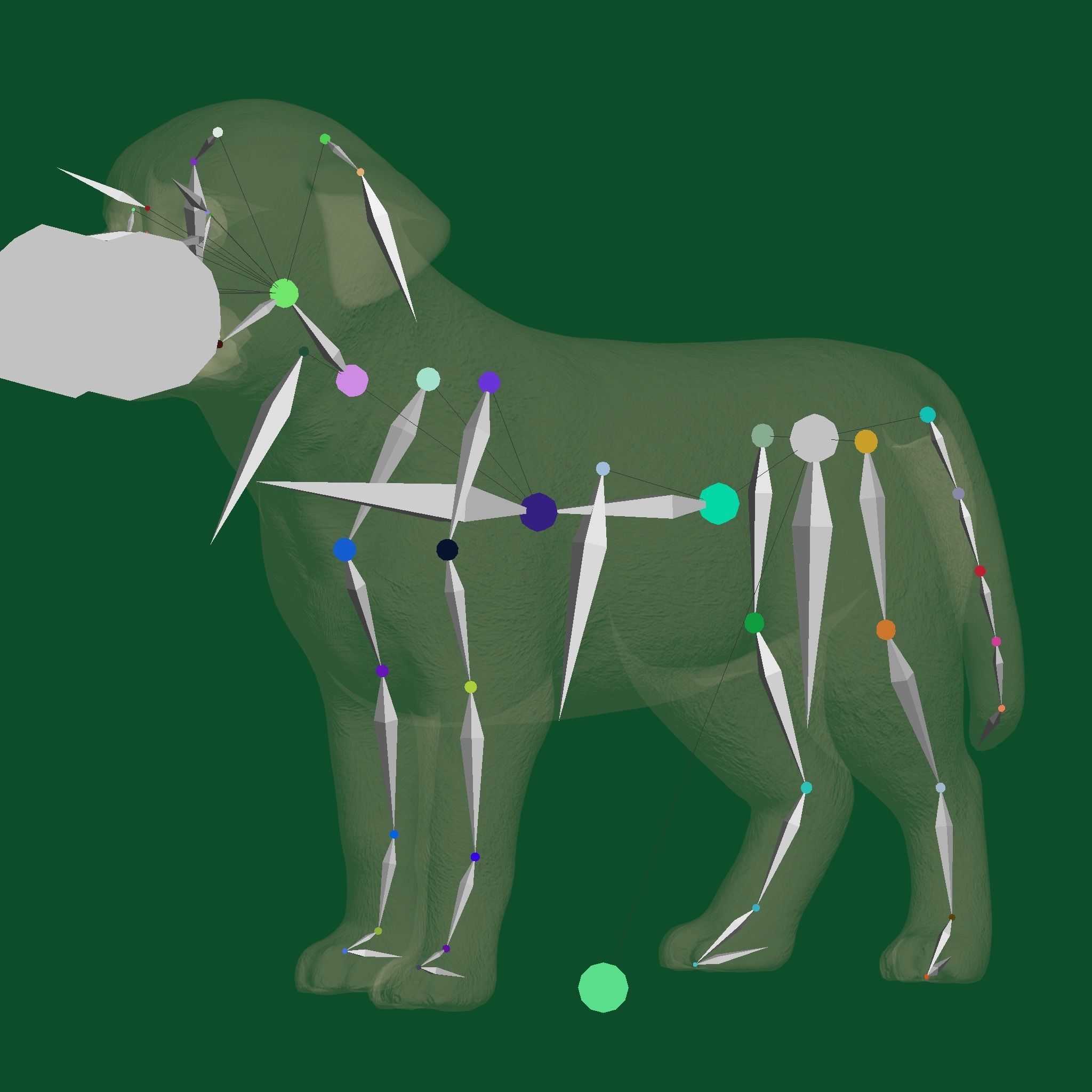 Belgian Shepherd Puppy Dog Breed 3D model_11