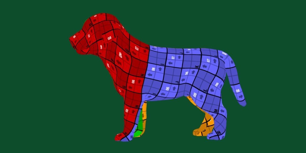 Belgian Shepherd Puppy Dog Breed 3D model_9