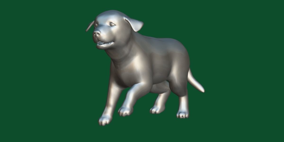 Belgian Shepherd Puppy Dog Breed 3D model_23