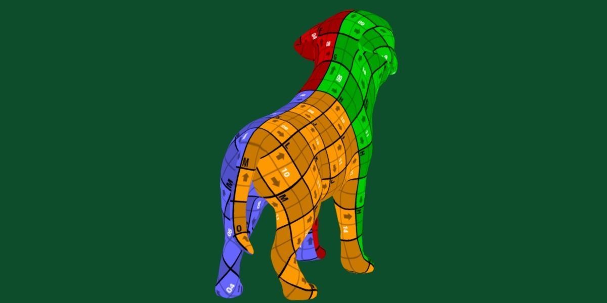 Belgian Shepherd Puppy Dog Breed 3D model_10