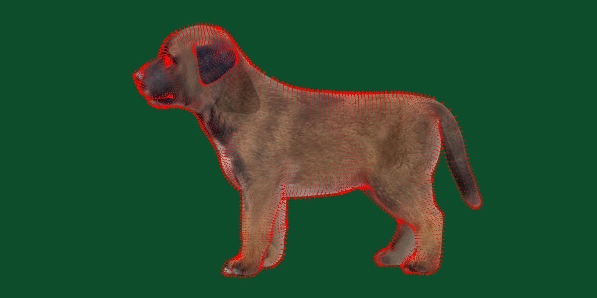 Belgian Shepherd Puppy Dog Breed 3D model_8
