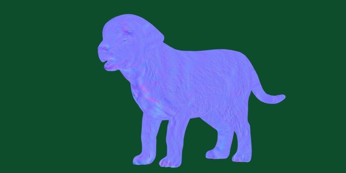 Belgian Shepherd Puppy Dog Breed 3D model_19