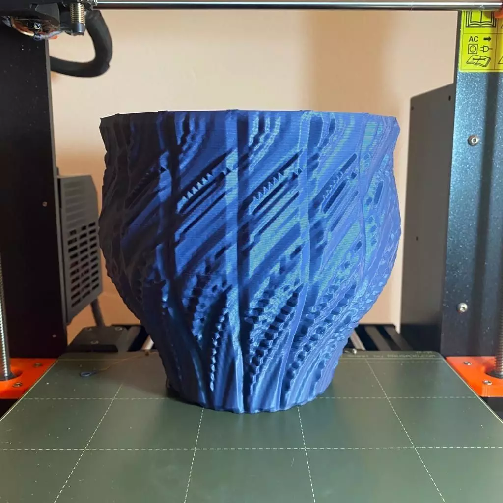 Crazy Vase 3D print model_0
