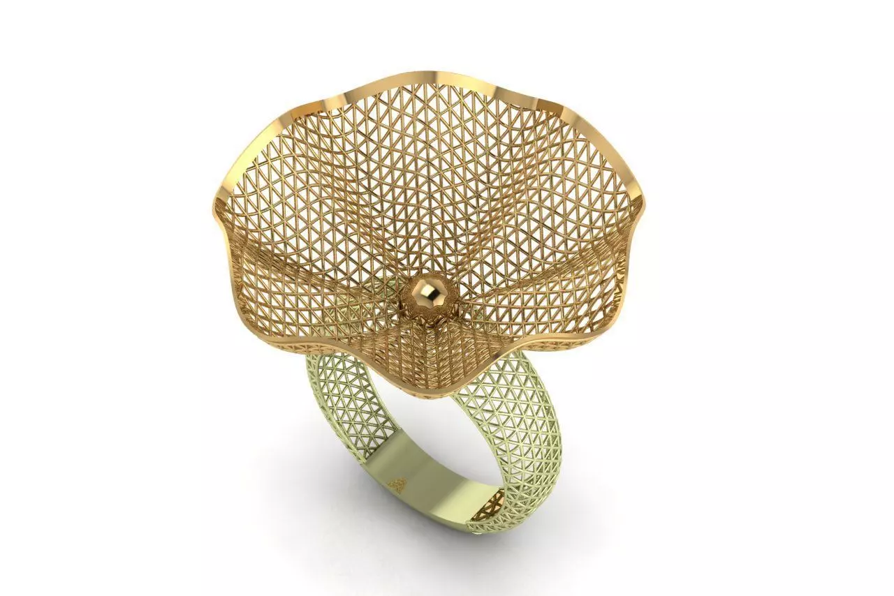 Fusion Ring 3D print model