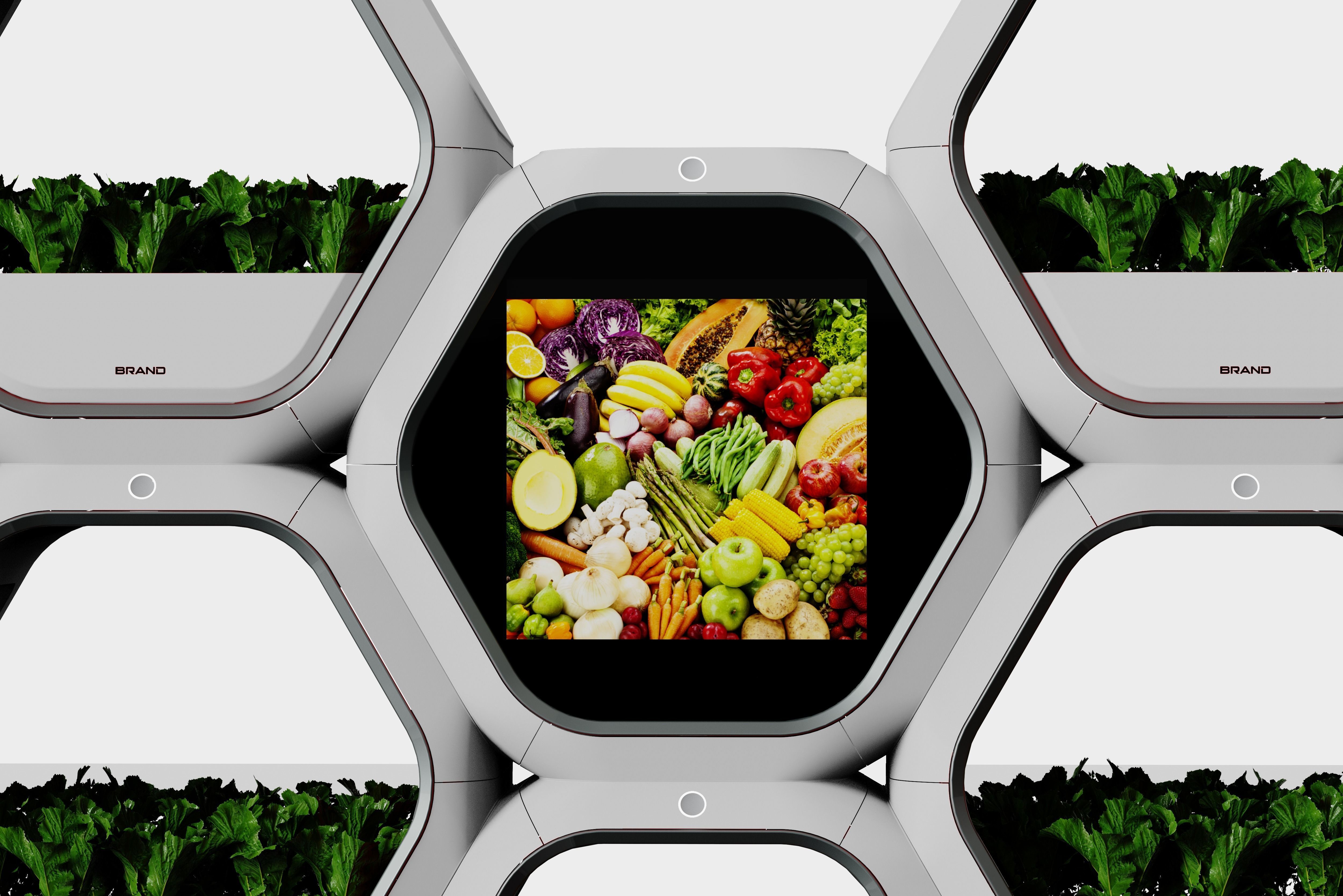 Indoor ecological vegetable garden 3D print model_11