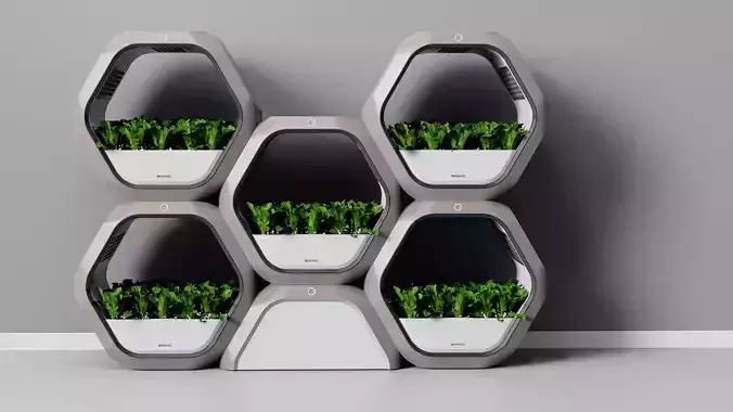 Indoor ecological vegetable garden 3D print model