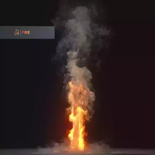Burning Tree Animation 250 Frames 3D Model 3D model