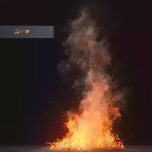 3D Fire Animation  3D model