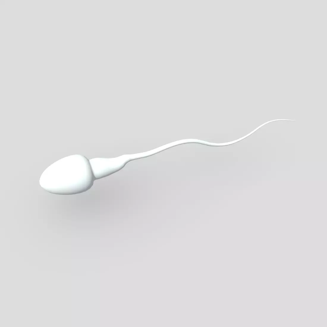 CC0 - Sperm Free low-poly 3D model
