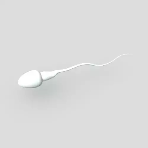 CC0 - Sperm