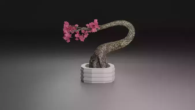 Sakura Bonsai 3D model