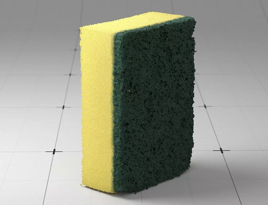 Detailed Sponge 3D Model 3D model_0