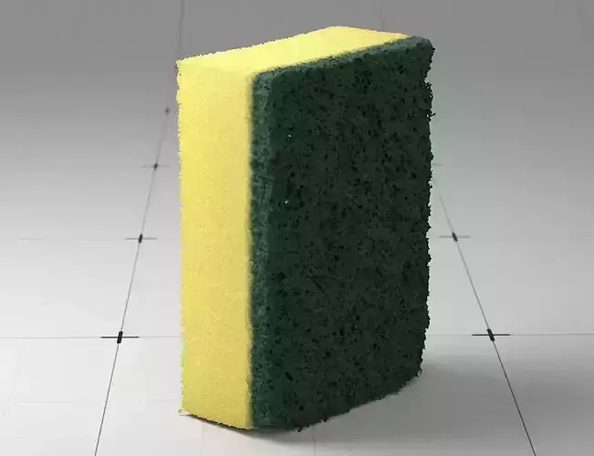 Detailed Sponge 3D Model 3D model