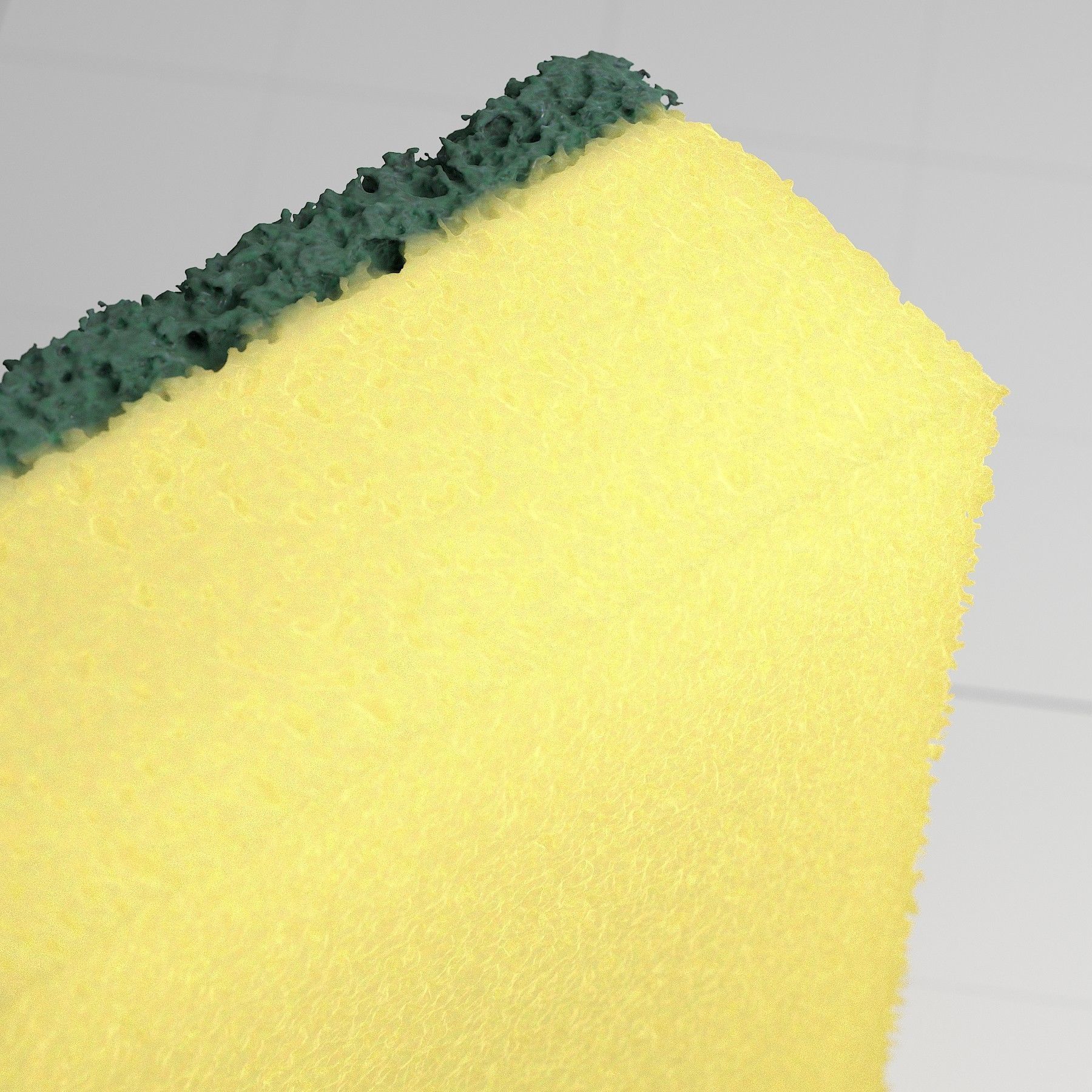 Detailed Sponge 3D Model 3D model_30
