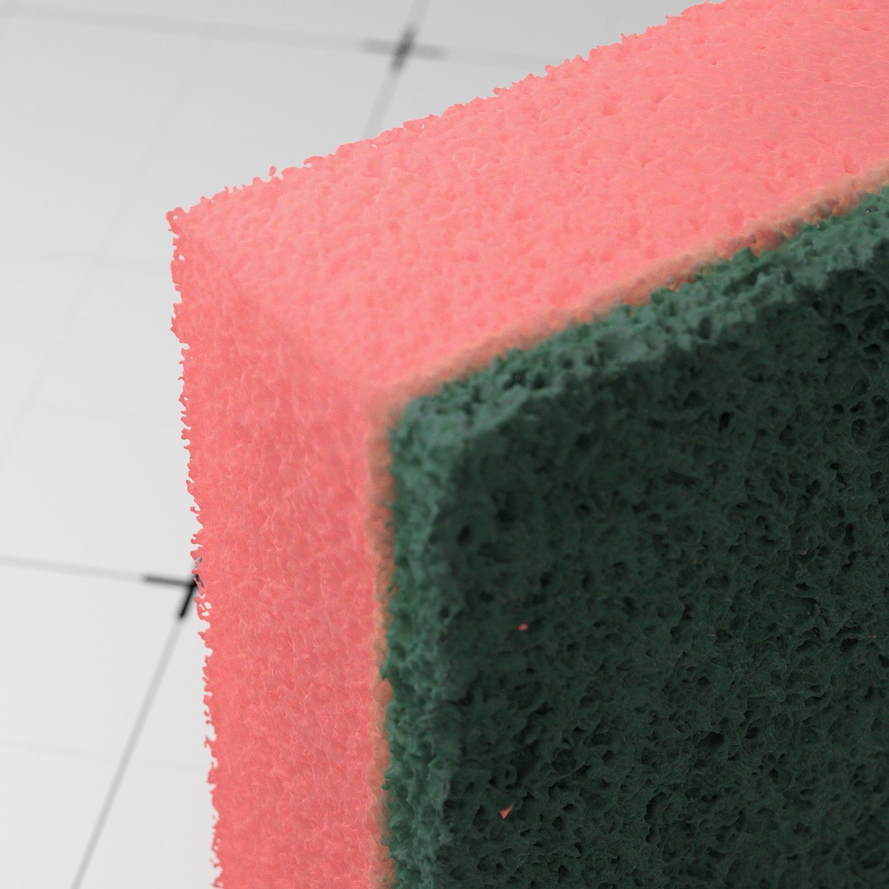 Detailed Sponge 3D Model 3D model_3