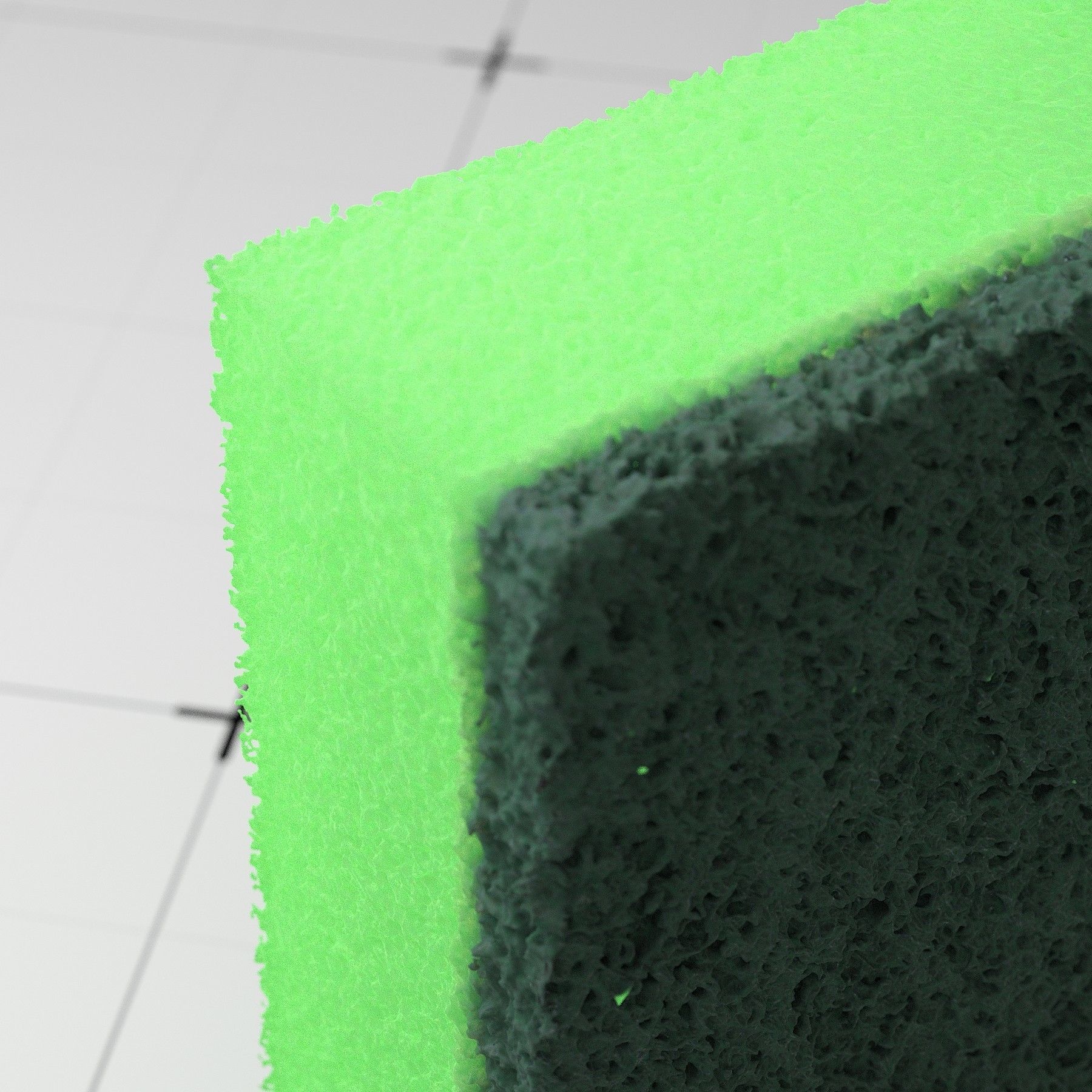 Detailed Sponge 3D Model 3D model_5