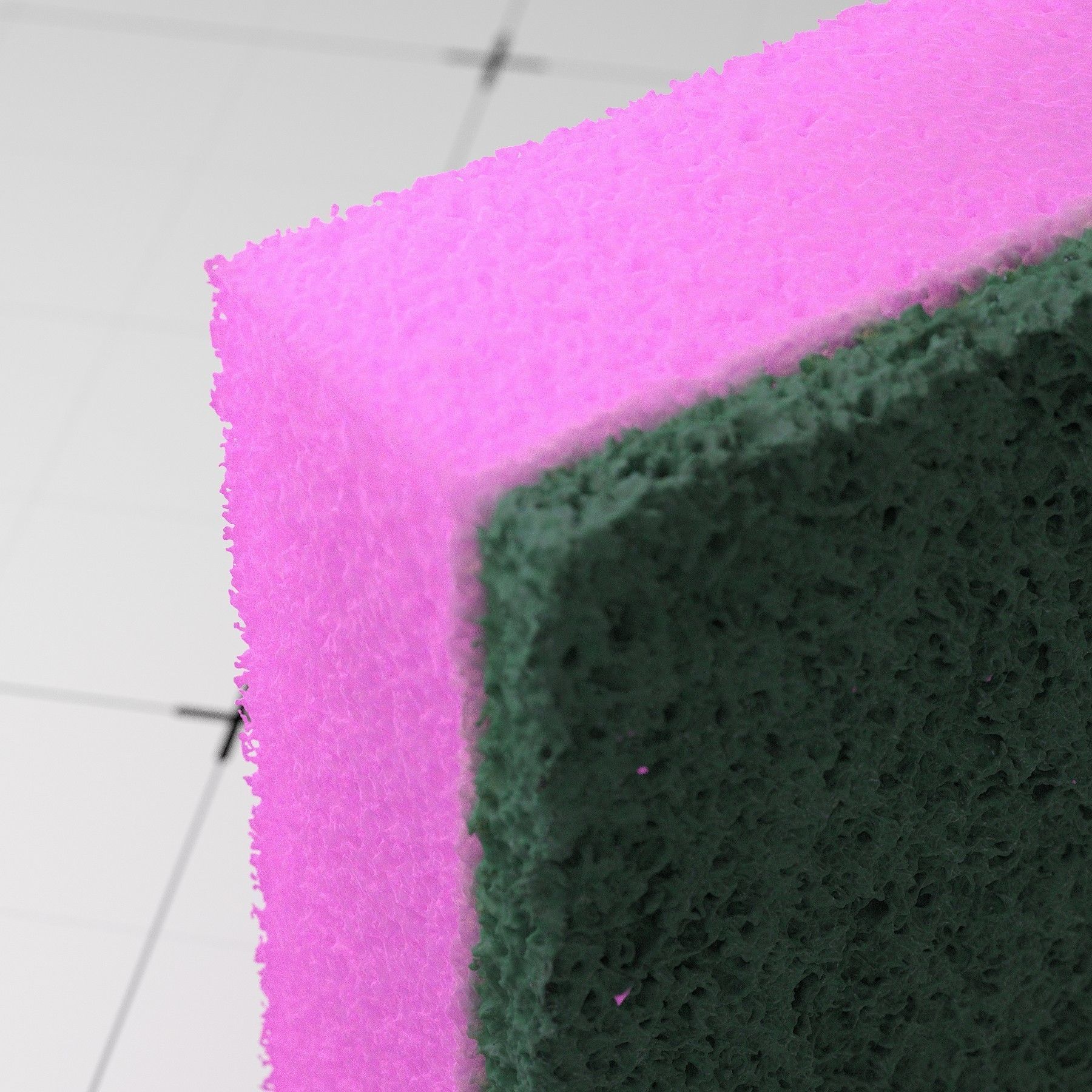 Detailed Sponge 3D Model 3D model_6