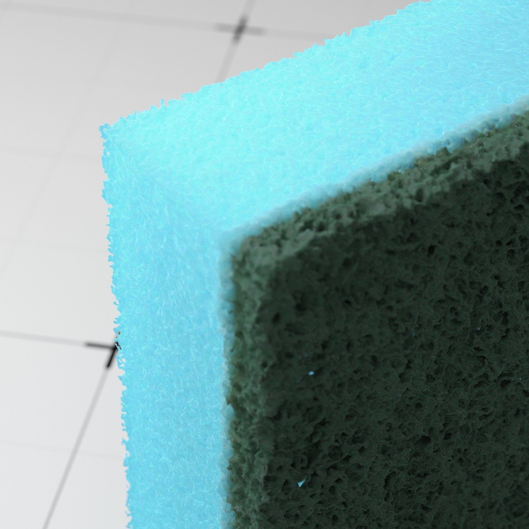 Detailed Sponge 3D Model 3D model_4