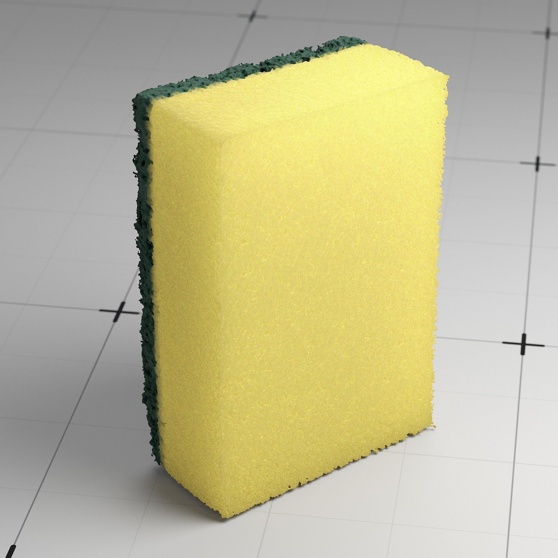 Detailed Sponge 3D Model 3D model_1