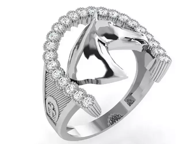 Horse Ring 4086