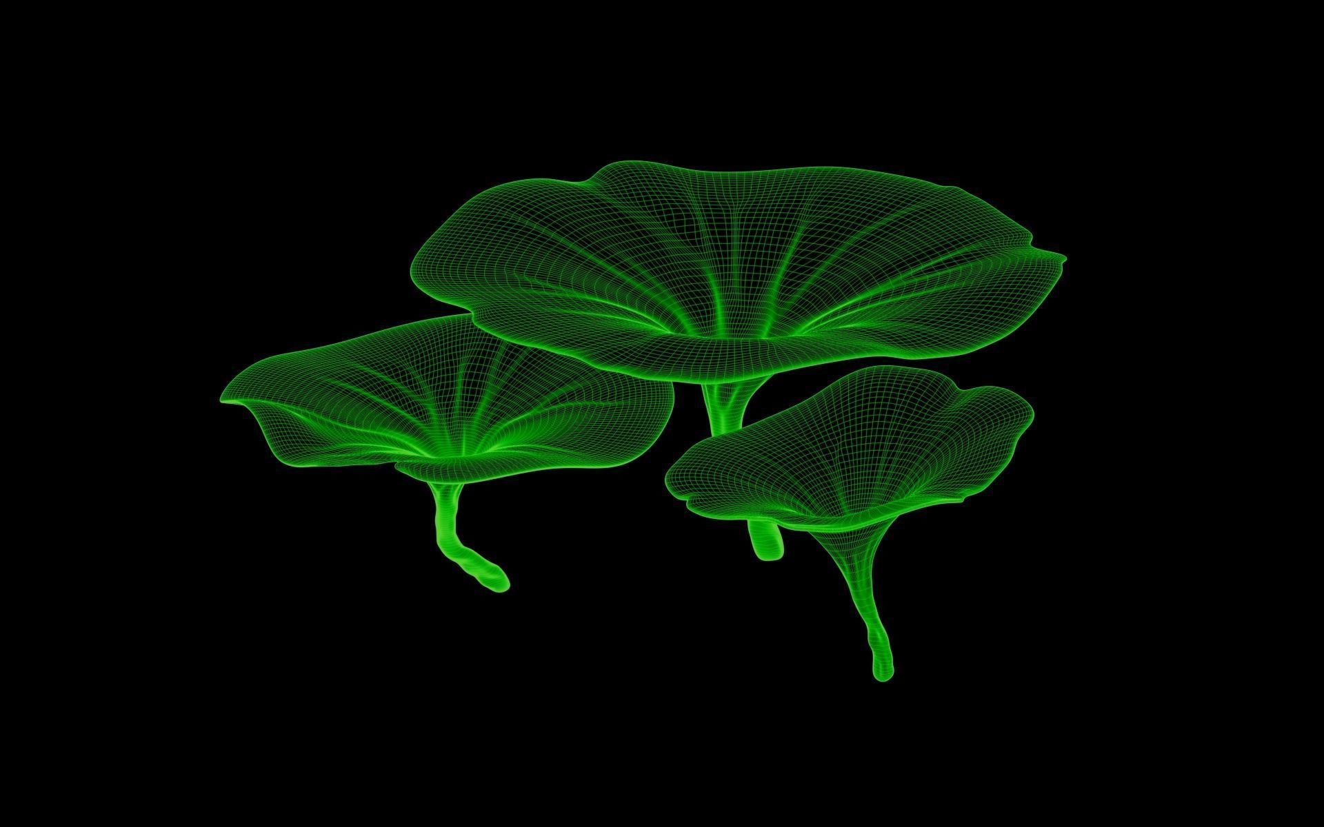 Reishi Lingzhi mushroom 3D model_1
