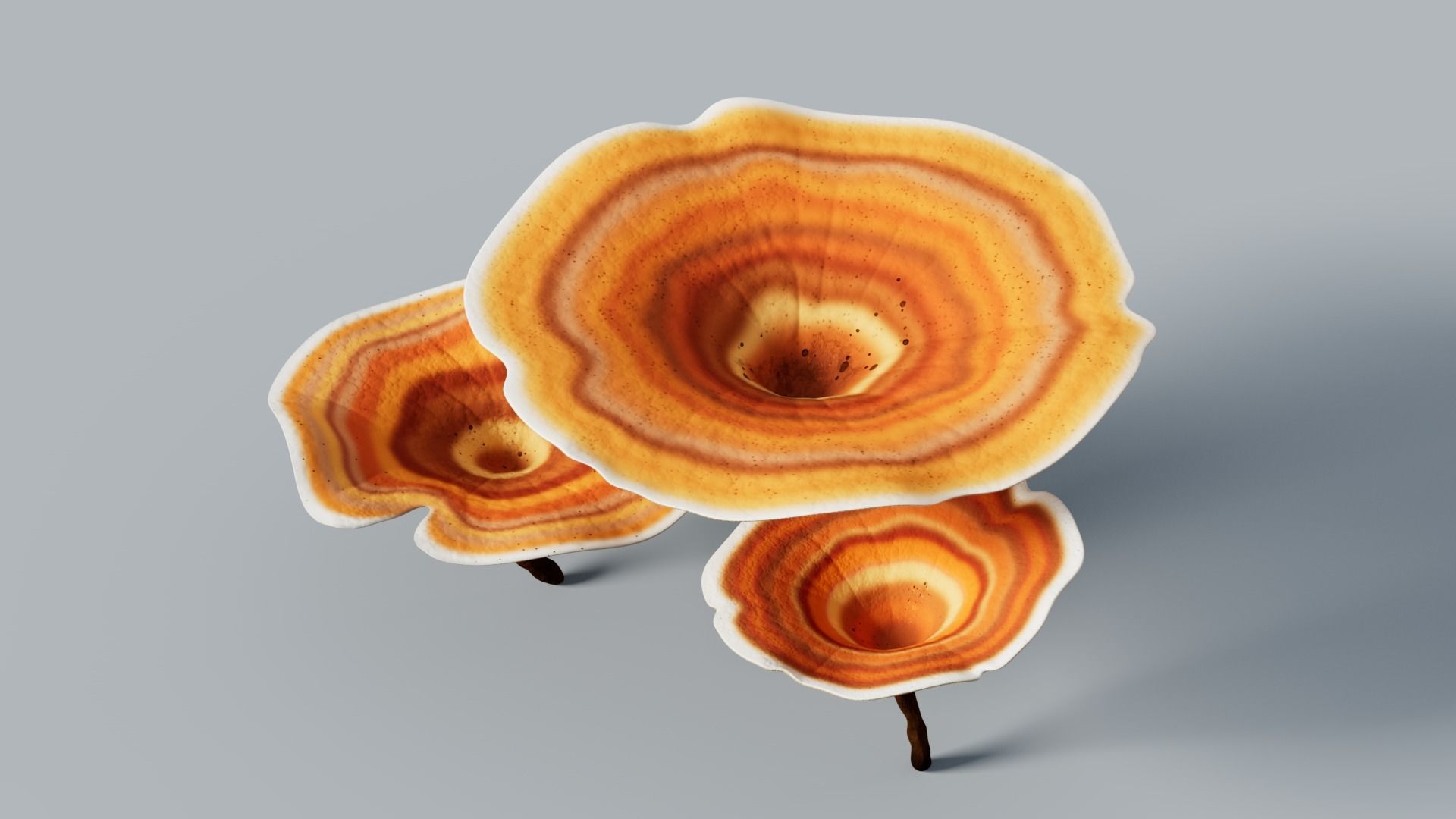 Reishi Lingzhi mushroom 3D model_2