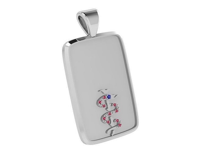 Military Style Pendant With Snake 4102 3D print model