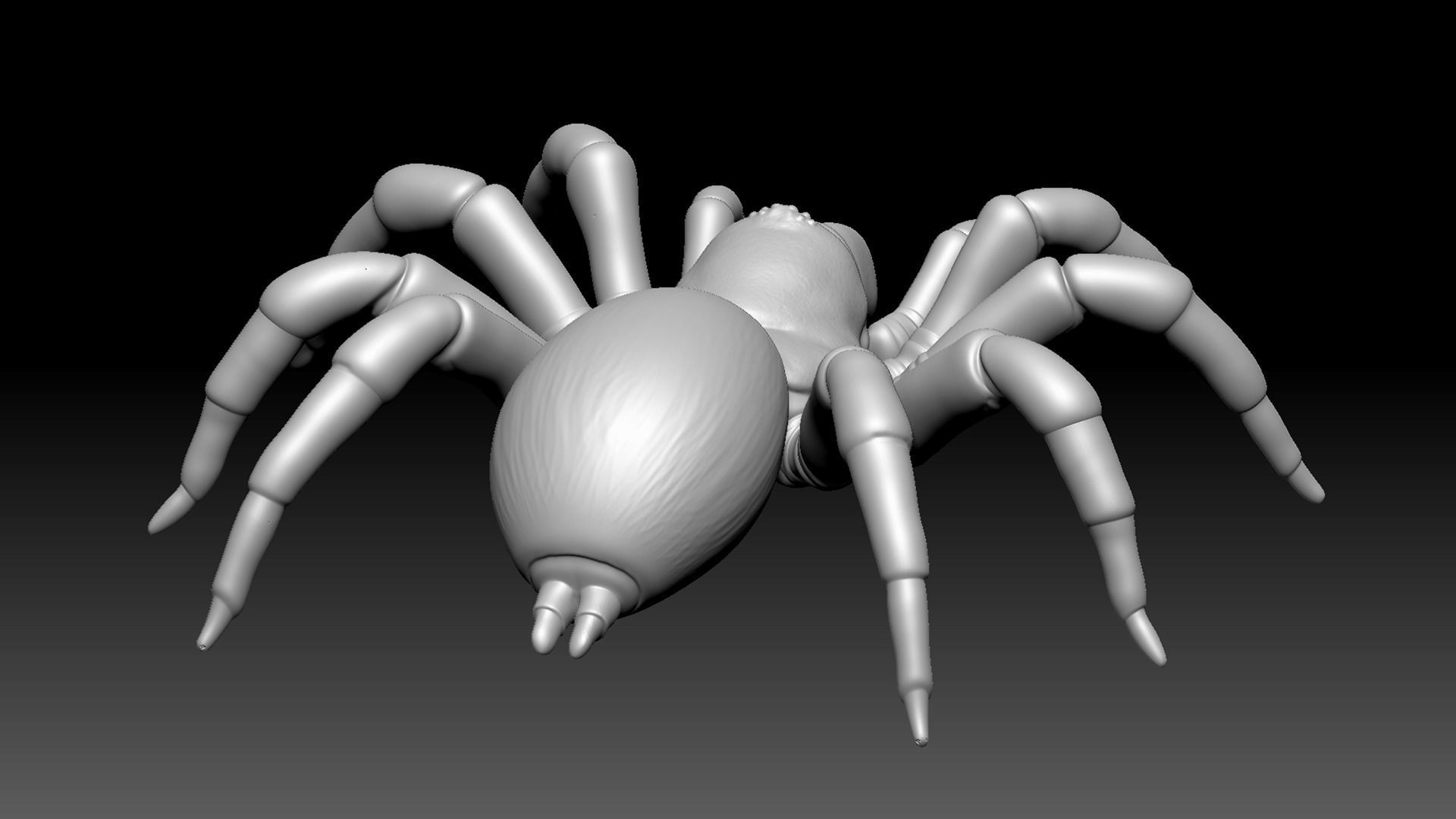 Trapdoor Spider Low-poly 3D model_11