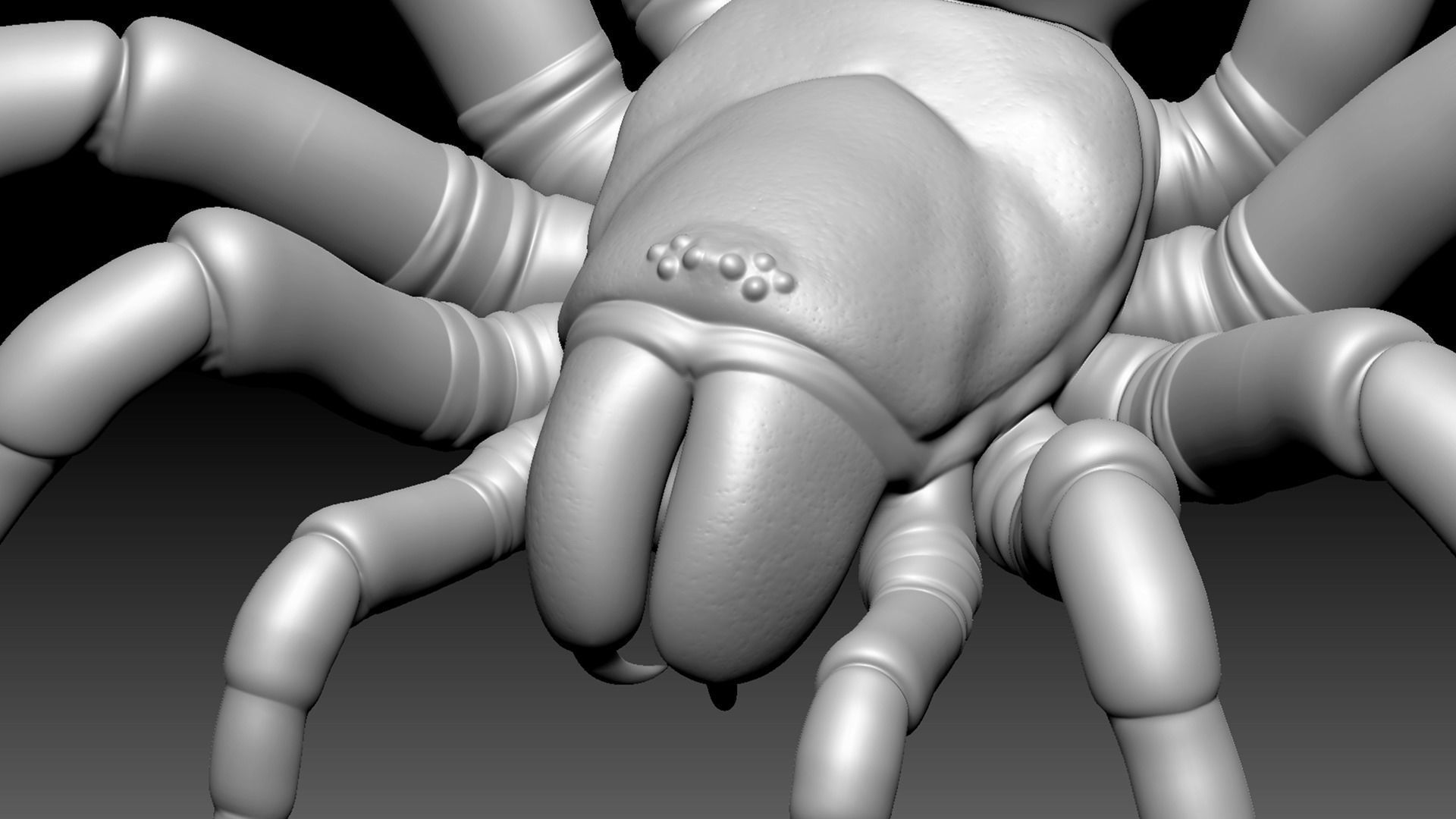 Trapdoor Spider Low-poly 3D model_7