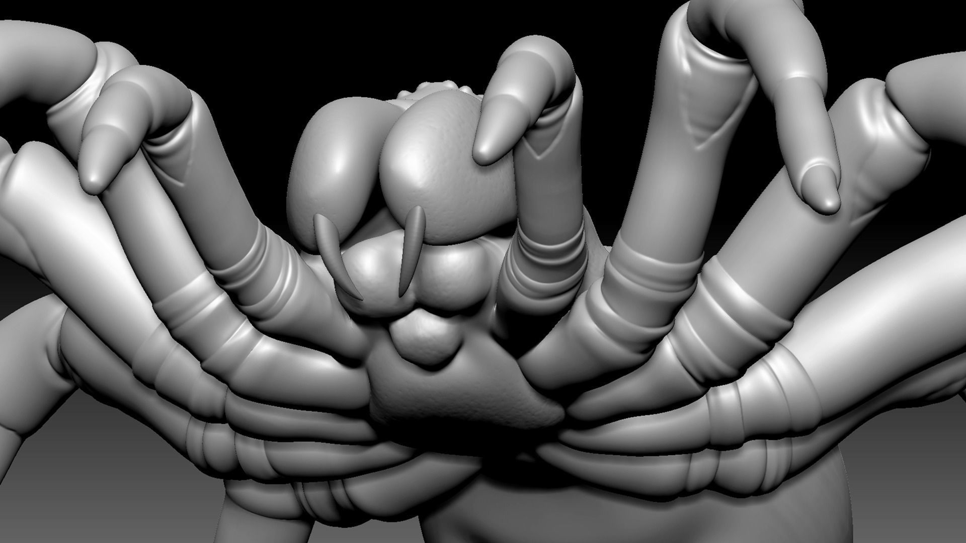 Trapdoor Spider Low-poly 3D model_10