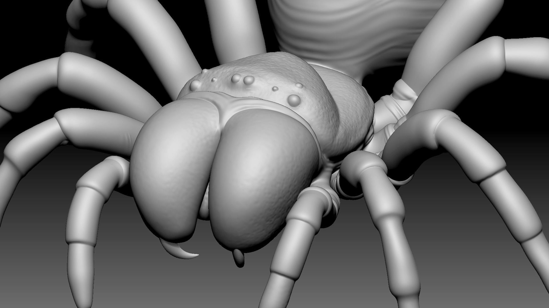 Mouse Spider Low-poly 3D model_7