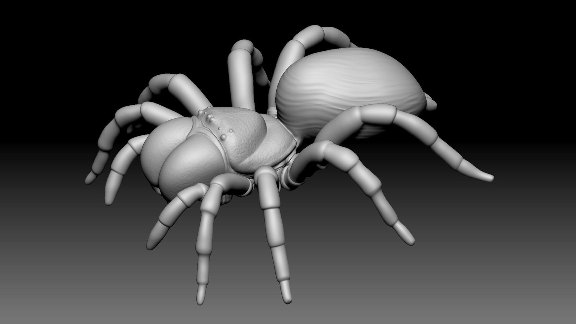 Mouse Spider Low-poly 3D model_10