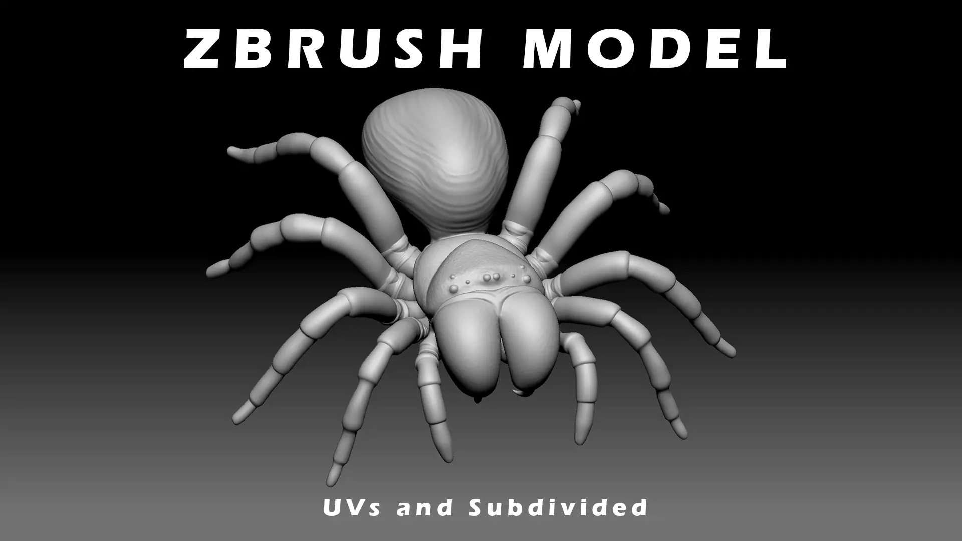 Mouse Spider Low-poly 3D model_0