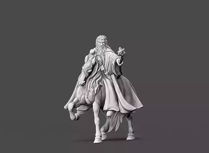 Wizard  Rider - 35mm scale