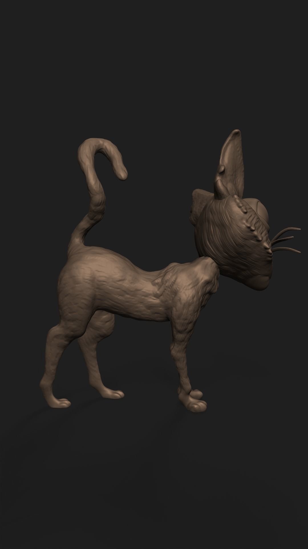Coraline Cat 3D print model_7