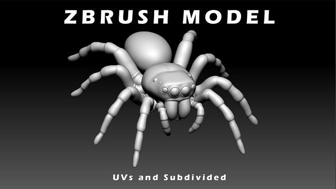 Jumping Spider Low-poly 3D model