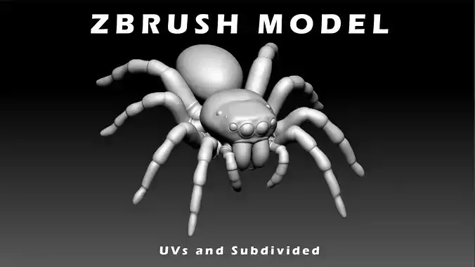 Jumping Spider Low-poly 3D model