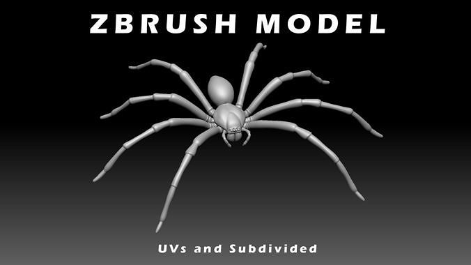 Hunstman Spider Low-poly 3D model