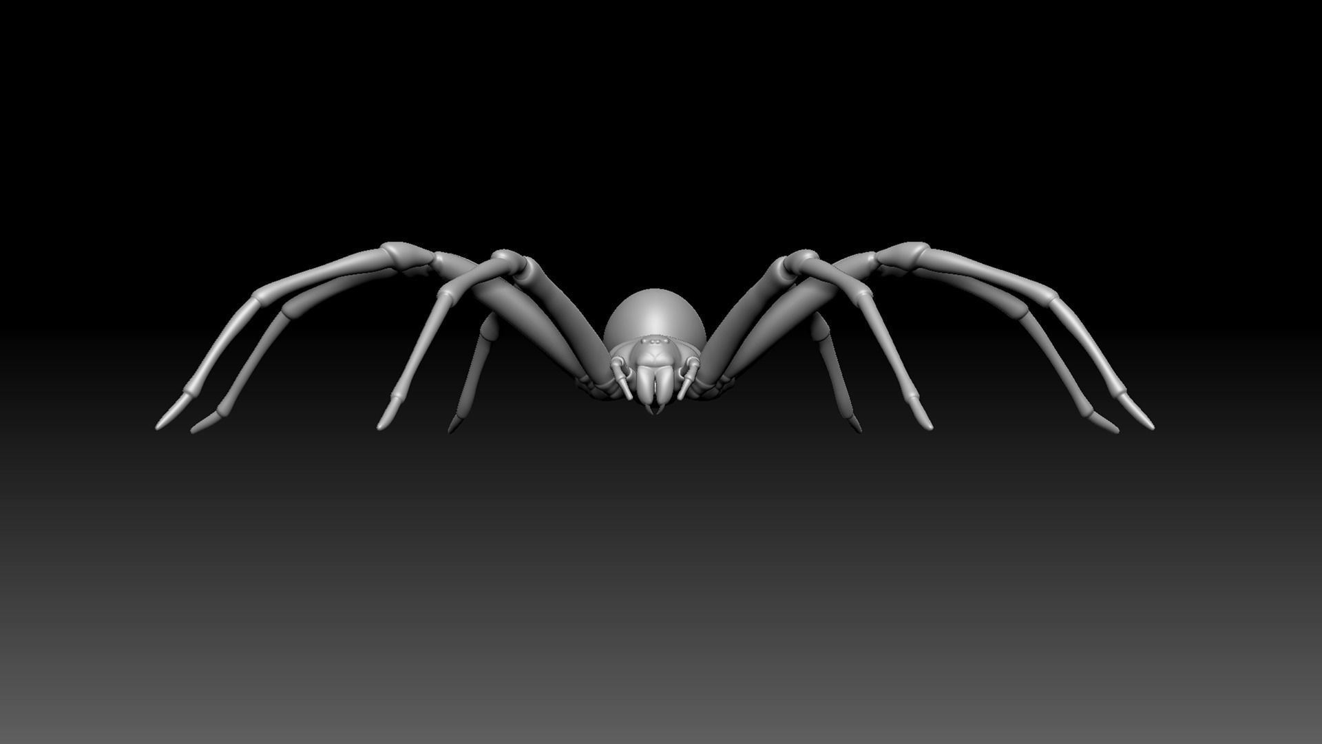 Brown Recluse Spider Low-poly 3D model_2