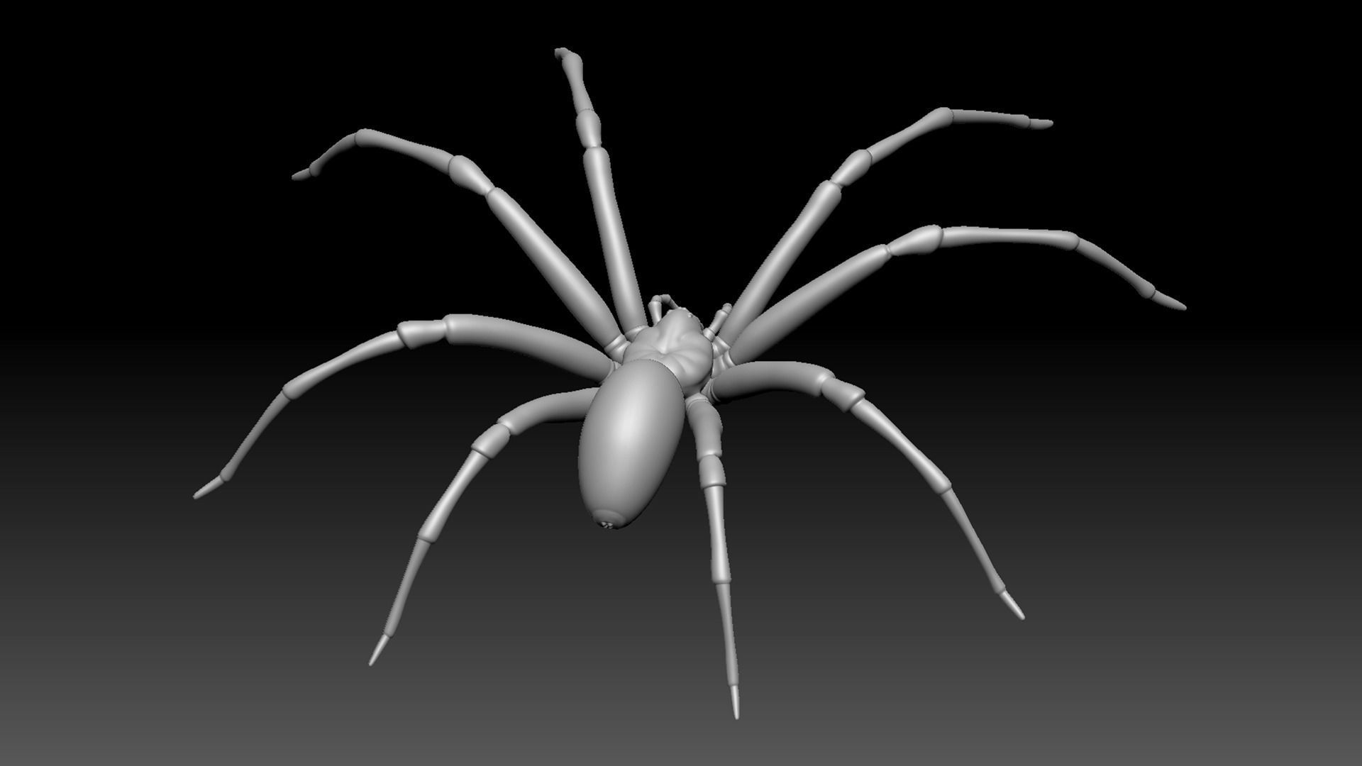 Brown Recluse Spider Low-poly 3D model_13