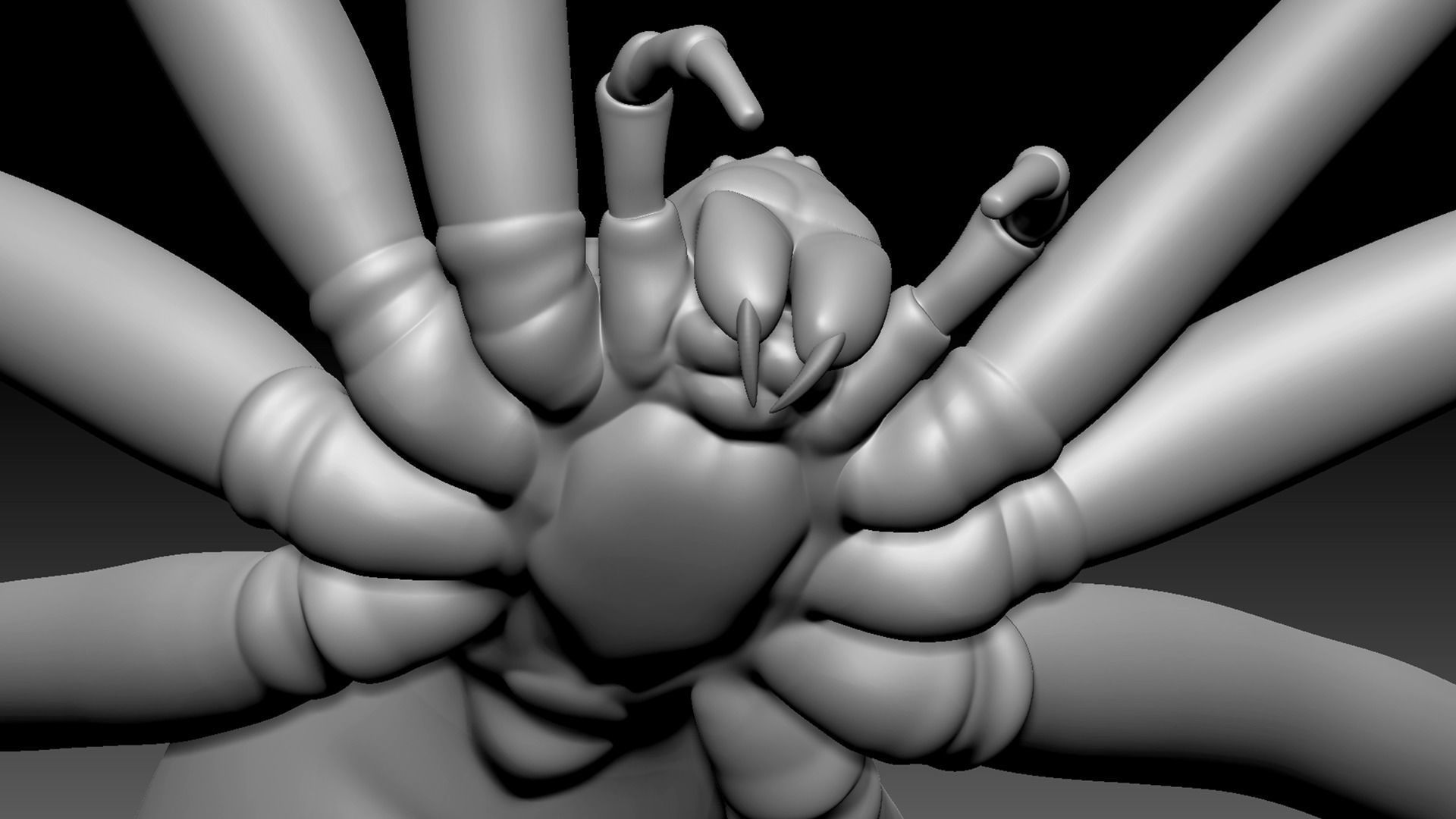 Brown Recluse Spider Low-poly 3D model_10