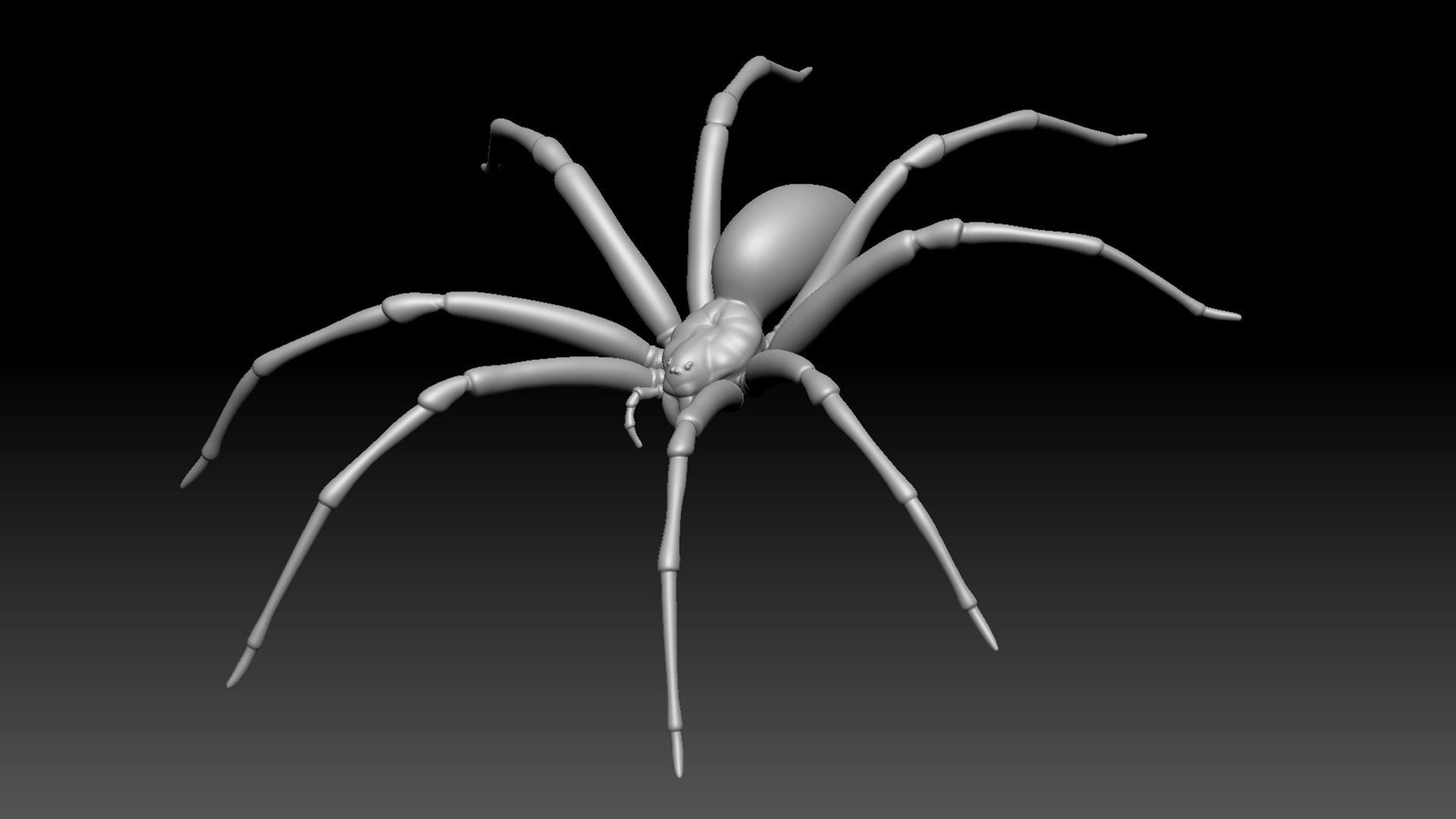 Brown Recluse Spider Low-poly 3D model_12